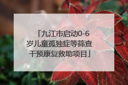 九江市启动0-6岁儿童孤独症等筛查干预康复救助项目