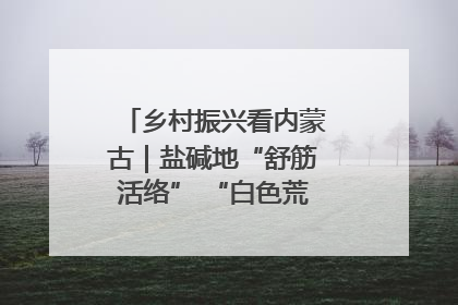 乡村振兴看内蒙古｜盐碱地“舒筋活络” “白色荒漠”长出吨粮田