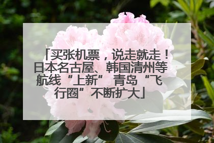 买张机票，说走就走！日本名古屋、韩国清州等航线“上新” 青岛“飞行圈”不断扩大