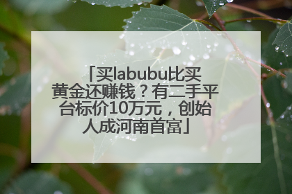 买labubu比买黄金还赚钱？有二手平台标价10万元，创始人成河南首富