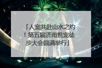 人宠共赴山水之约！第五届济南携宠徒步大会圆满举行