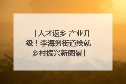 人才返乡 产业升级！李海务街道绘就乡村振兴新图景