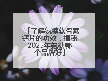了解氨糖软骨素钙片的功效，揭秘2025年氨糖哪个品牌好