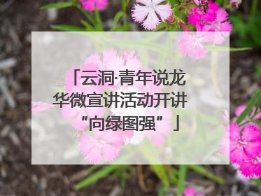 云洞·青年说龙华微宣讲活动开讲“向绿图强”