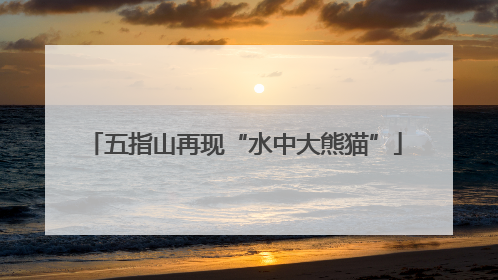 五指山再现“水中大熊猫”