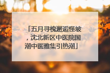 五月寻槐邂逅怪坡，沈北新区中医院国潮中医雅集引热潮