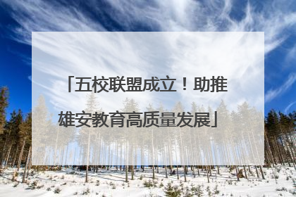 五校联盟成立！助推雄安教育高质量发展