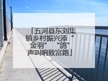 五河县东刘集镇乡村振兴添“金羽” “鸽”声叫响致富路