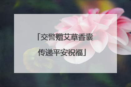 交警赠艾草香囊 传递平安祝福