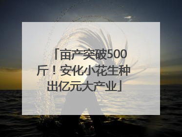 亩产突破500斤！安化小花生种出亿元大产业