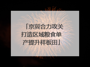 京冀合力攻关打造区域粮食单产提升样板田