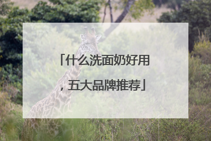 什么洗面奶好用，五大品牌推荐