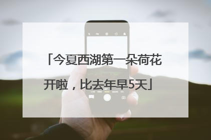 今夏西湖第一朵荷花开啦，比去年早5天