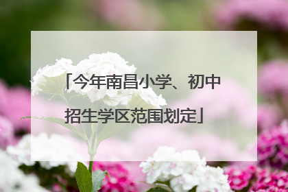 今年南昌小学、初中招生学区范围划定