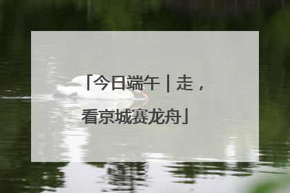 今日端午｜走，看京城赛龙舟