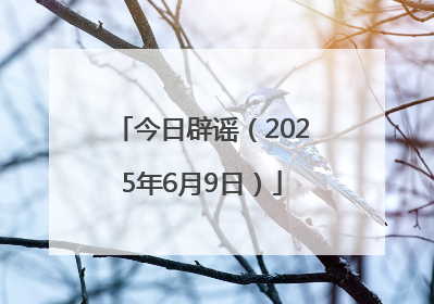 今日辟谣（2025年6月9日）