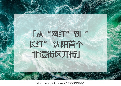 从“网红”到“长红” 沈阳首个非遗街区开街