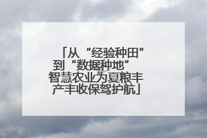 从“经验种田”到“数据种地” 智慧农业为夏粮丰产丰收保驾护航