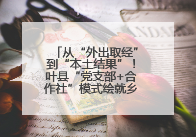 从“外出取经”到“本土结果”！叶县“党支部+合作社”模式绘就乡村振兴新图景