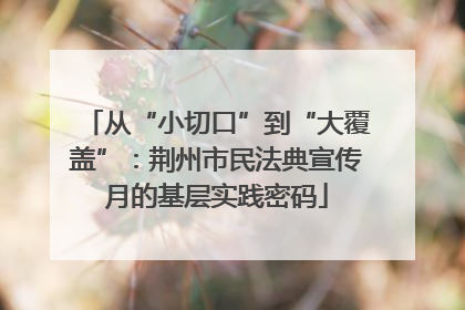 从“小切口”到“大覆盖”：荆州市民法典宣传月的基层实践密码