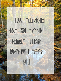 从“山水相依”到“产业相融” 川渝协作再上新台阶