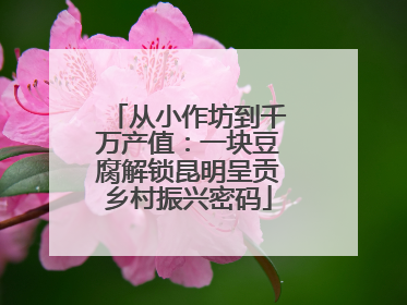 从小作坊到千万产值：一块豆腐解锁昆明呈贡乡村振兴密码