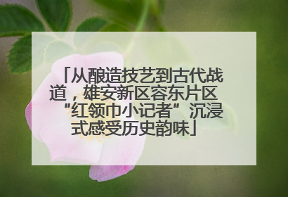 从酿造技艺到古代战道，雄安新区容东片区“红领巾小记者”沉浸式感受历史韵味