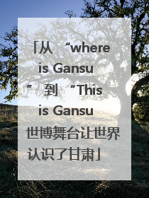 从 “where is Gansu” 到 “This is Gansu” 世博舞台让世界认识了甘肃