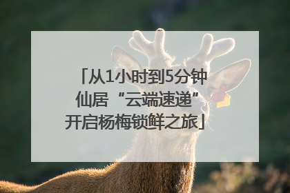 从1小时到5分钟 仙居“云端速递”开启杨梅锁鲜之旅