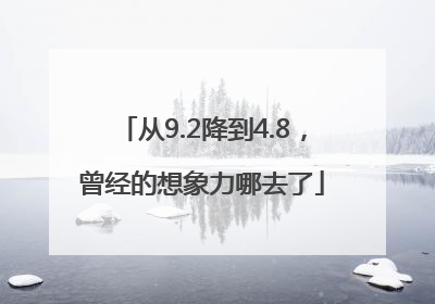 从9.2降到4.8，曾经的想象力哪去了