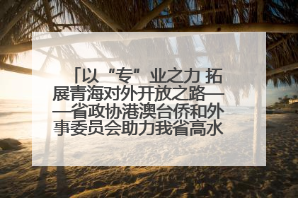 以“专”业之力 拓展青海对外开放之路——省政协港澳台侨和外事委员会助力我省高水平开放和高质量发展