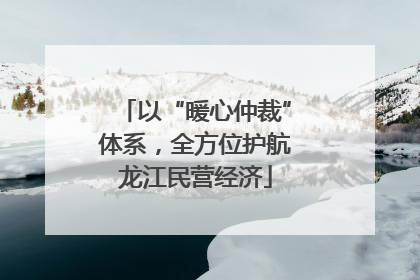 以“暖心仲裁”体系，全方位护航龙江民营经济