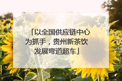 以全国供应链中心为抓手，贵州新茶饮发展弯道超车