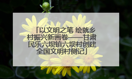 以文明之笔 绘就乡村振兴新画卷——甘肃民乐六坝镇六坝村创建全国文明村侧记