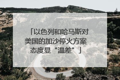 以色列和哈马斯对美国的加沙停火方案态度显“温差”