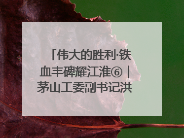 伟大的胜利·铁血丰碑耀江淮⑥｜茅山工委副书记洪天诚的亲笔信