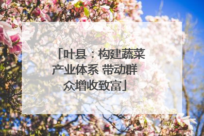 叶县：构建蔬菜产业体系 带动群众增收致富