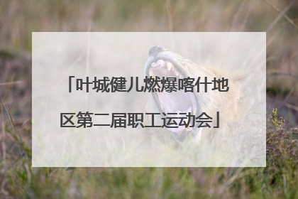 叶城健儿燃爆喀什地区第二届职工运动会