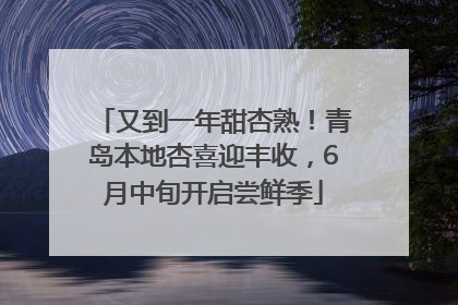 又到一年甜杏熟！青岛本地杏喜迎丰收，6月中旬开启尝鲜季