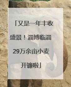 又是一年丰收盛景！淄博临淄29万余亩小麦开镰啦