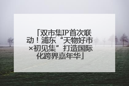 双市集IP首次联动！浦东“天物好市×初见集”打造国际化跨界嘉年华