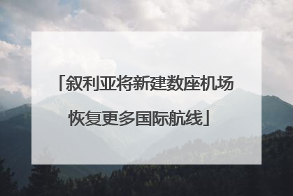 叙利亚将新建数座机场 恢复更多国际航线