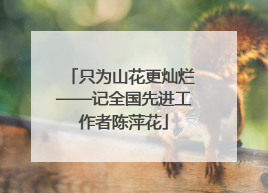 只为山花更灿烂——记全国先进工作者陈萍花