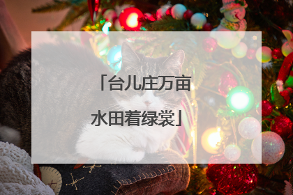 台儿庄万亩水田着绿裳