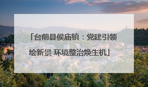 台前县侯庙镇：党建引领绘新景 环境整治焕生机