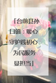 台前县孙口镇：暖心守护践初心 为民服务显担当