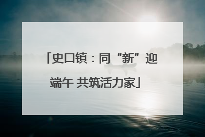 史口镇：同“新”迎端午 共筑活力家