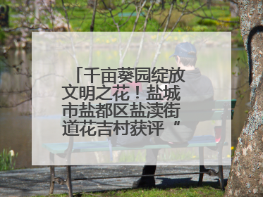 千亩葵园绽放文明之花！盐城市盐都区盐渎街道花吉村获评“全国文明村”