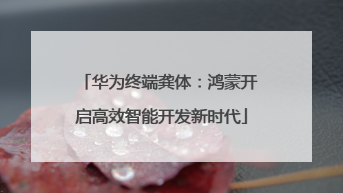 华为终端龚体：鸿蒙开启高效智能开发新时代