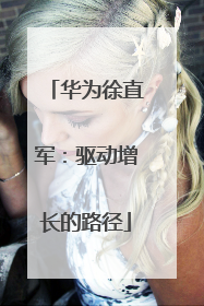 华为徐直军：驱动增长的路径
